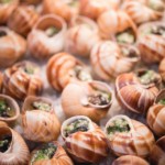 Close-up of escargot shells displayed on ice