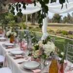 Tablescape for springtime outdoor party